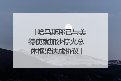 哈马斯称已与美特使就加沙停火总体框架达成协议